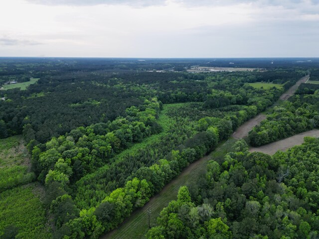 00 Fivel Ln, Ridgeville, SC 29472
