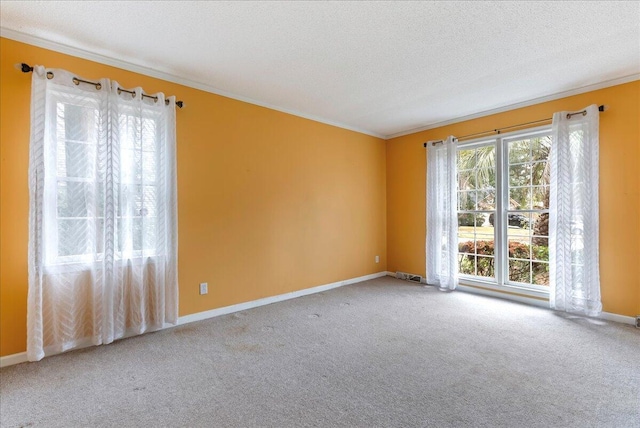 carpeted empty room with ornamental molding and a textured ceiling