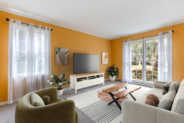 living room with crown molding, carpet, and a textured ceiling