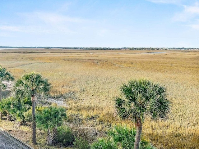 view of local wilderness with a rural view