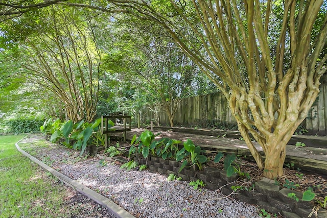 6305 Lucille Dr, North Charleston, SC 29406 - view of yard