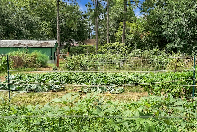 view of yard with an outbuilding