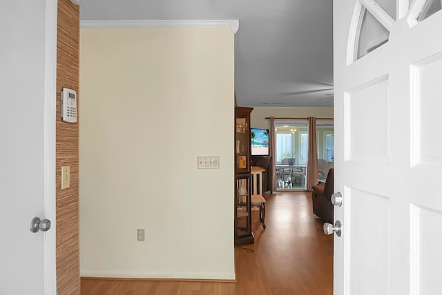 corridor with crown molding and hardwood / wood-style floors