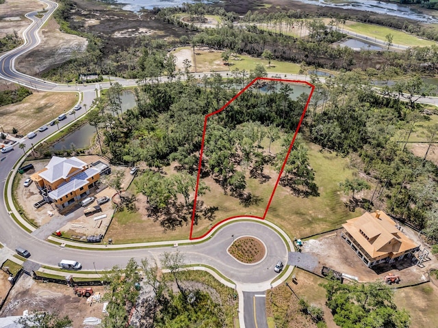 938 Fish Camp Rd, Daniel Island, SC 29492