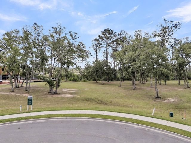 938 Fish Camp Rd, Daniel Island, SC 29492
