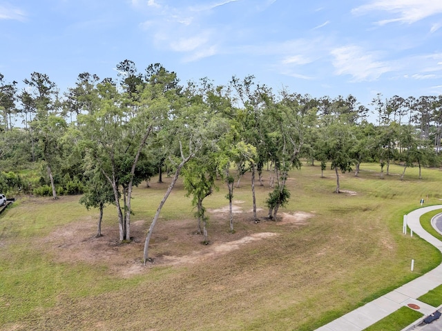 938 Fish Camp Rd, Daniel Island, SC 29492