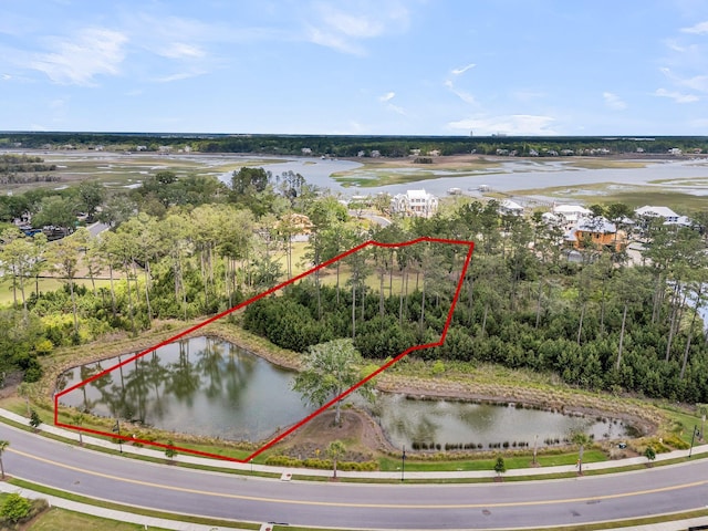 938 Fish Camp Rd, Daniel Island, SC 29492