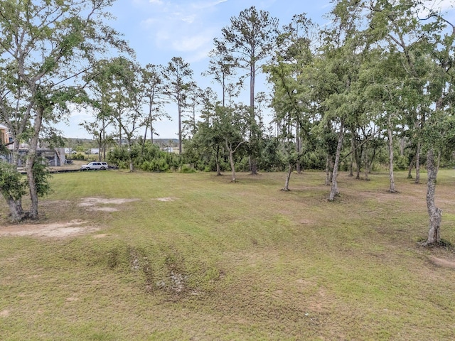 938 Fish Camp Rd, Daniel Island, SC 29492