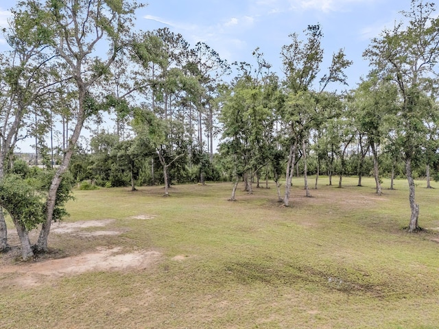 938 Fish Camp Rd, Daniel Island, SC 29492