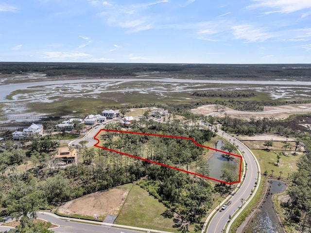 938 Fish Camp Rd, Daniel Island, SC 29492