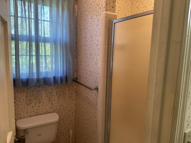 bathroom featuring toilet, plenty of natural light, and a shower stall