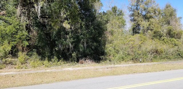 0000 N Lemacks St, Walterboro SC, 29488 land for sale