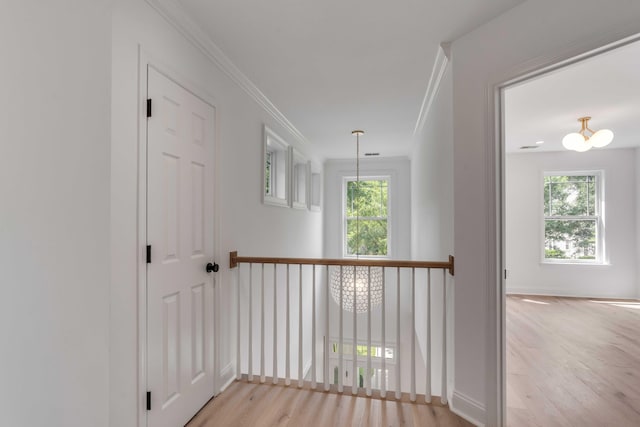 7053 Schooner St, Daniel Island, SC 29492 - corridor with light wood-type flooring, a chandelier, crown molding, and baseboards