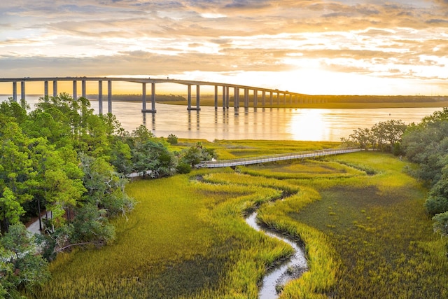 7053 Schooner St, Daniel Island, SC 29492 - yard at dusk with a water view