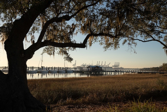 7053 Schooner St, Daniel Island, SC 29492 - water view