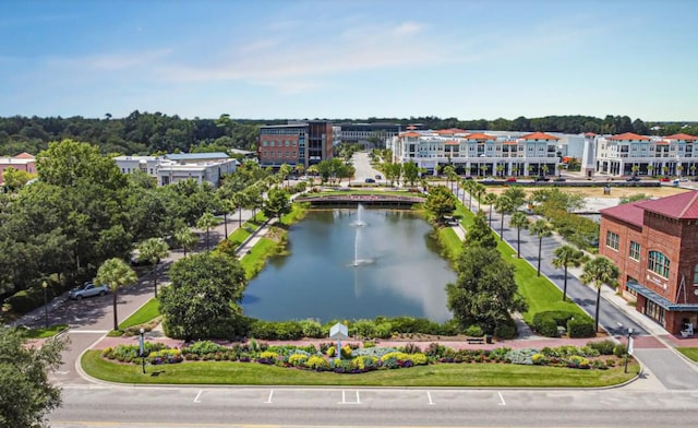 7053 Schooner St, Daniel Island, SC 29492 - bird's eye view of a nearby body of water
