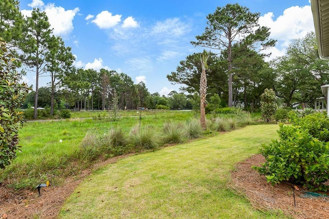 3023 Eventide Dr, Johns Island, SC 29455 - view of grassy yard