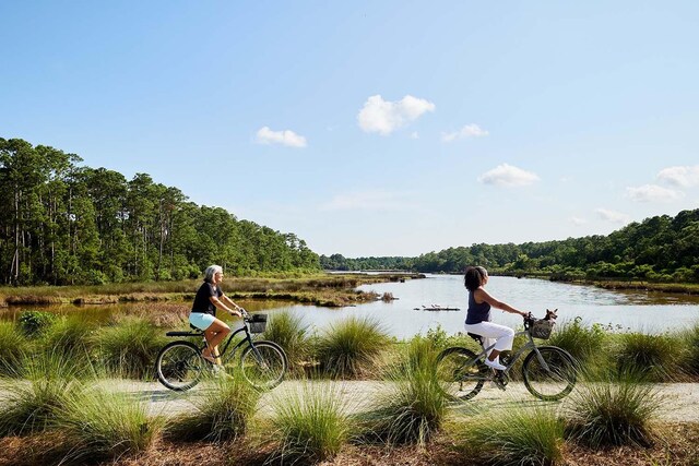 3023 Eventide Dr, Johns Island, SC 29455 - water view featuring a heavily wooded area