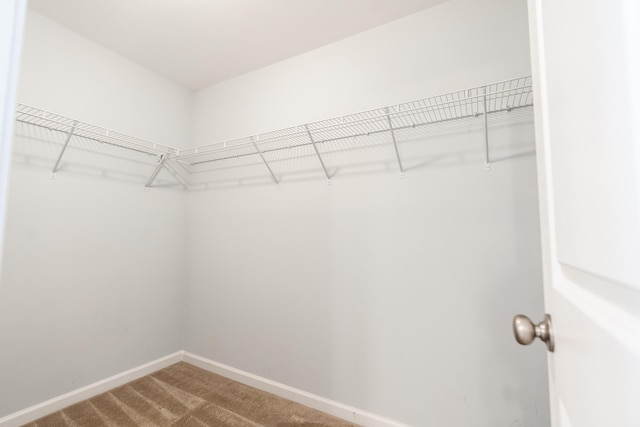 7217 Mossy Creek Ln, Hanahan, SC 29410 - walk in closet featuring carpet floors