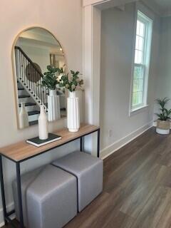 interior space with dark hardwood / wood-style flooring