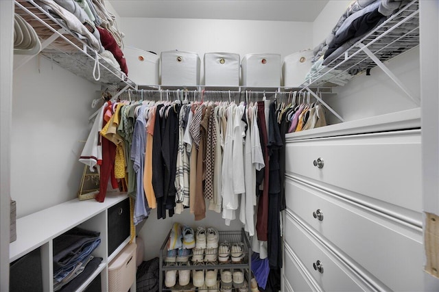 view of walk in closet