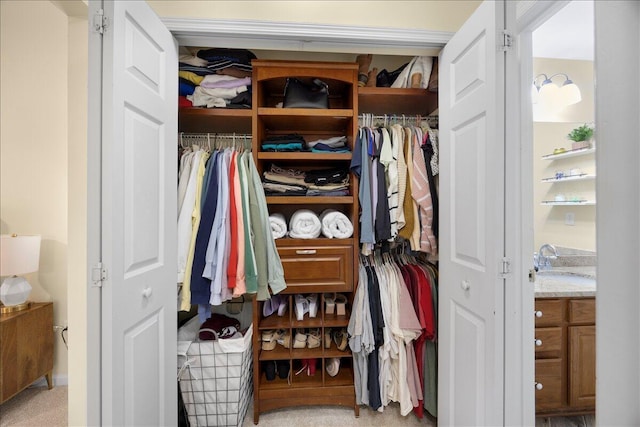 closet with a sink