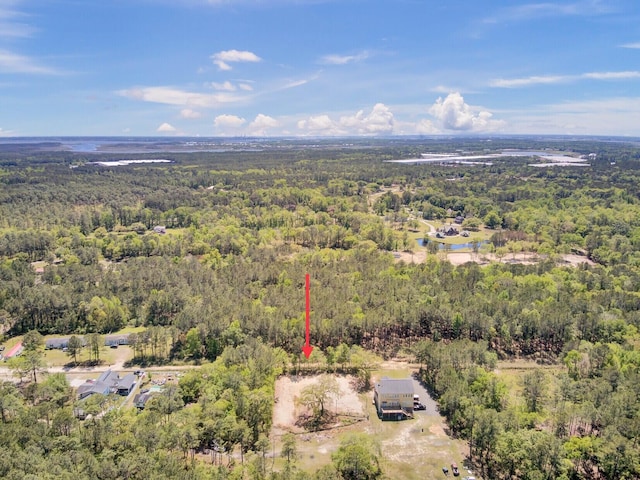 219 Sarah Lincoln Rd, Wando SC, 29492 land for sale