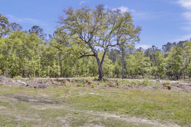 219 Sarah Lincoln Rd, Wando, SC 29492