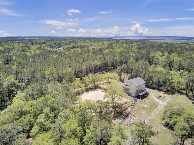 219 Sarah Lincoln Rd, Wando, SC 29492