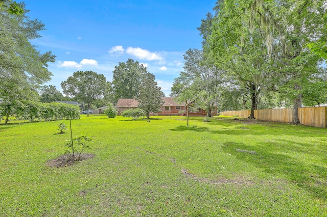 1023 Striper Ave, Moncks Corner, SC 29461 - view of yard