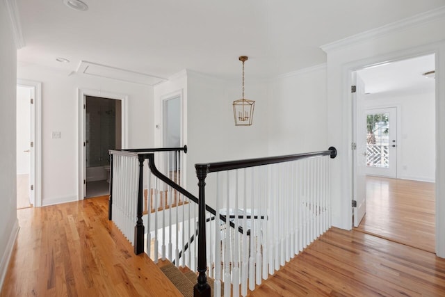 corridor with baseboards, light wood finished floors, attic access, crown molding, and an upstairs landing