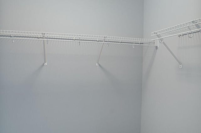 426 Colony Dr, Ridgeland, SC 29936 - view of spacious closet