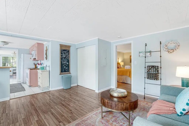 living room with light hardwood / wood-style floors