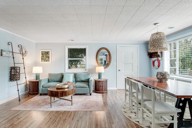 living room featuring light hardwood / wood-style floors