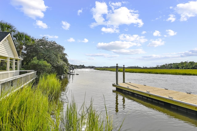 dock area with a water view