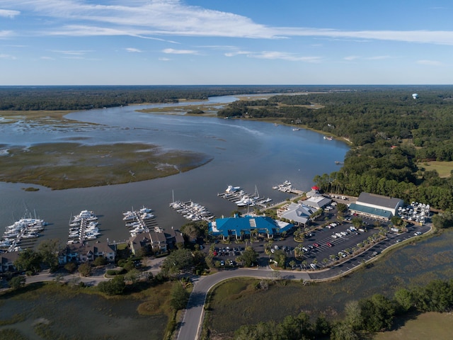 birds eye view of property featuring a forest view and a water view