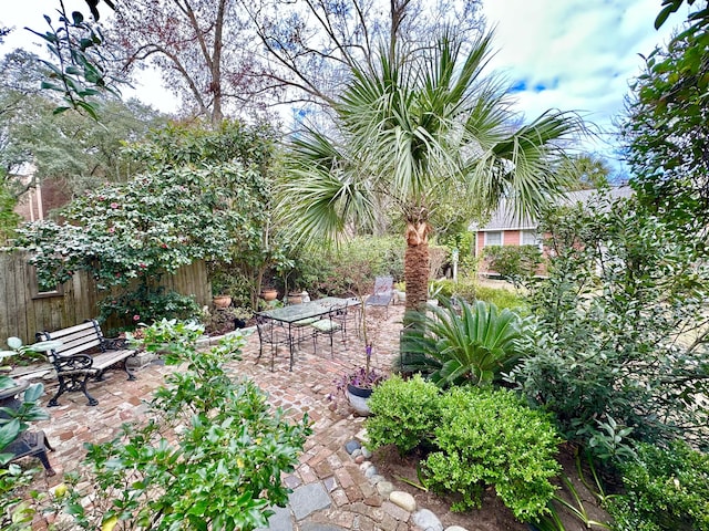 view of yard featuring a patio