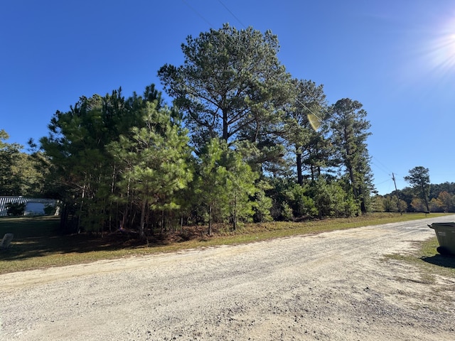 00 Winding Pond Rd, Manning SC, 29102 land for sale