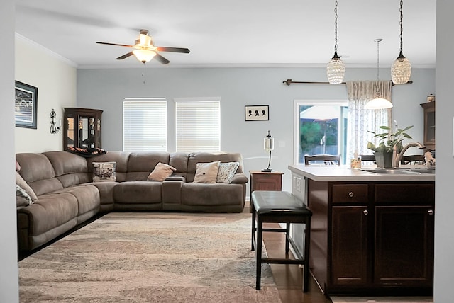 living room featuring ceiling fan, wood-type flooring, ornamental molding, and sink