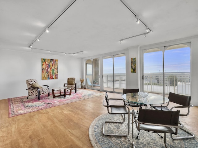 dining space with rail lighting, a healthy amount of sunlight, and hardwood / wood-style flooring