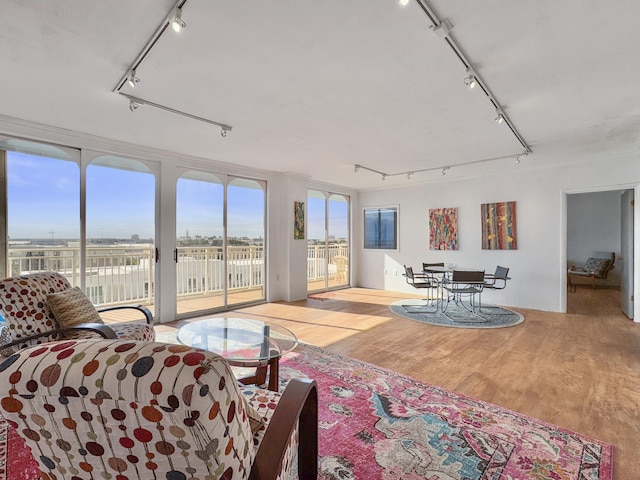 living room featuring light hardwood / wood-style floors