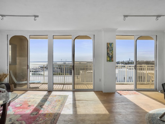 interior space with rail lighting, a water view, a healthy amount of sunlight, and ornamental molding