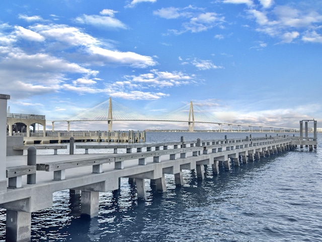 dock area featuring a water view