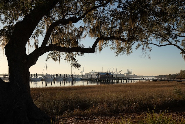 108 Fairbanks Oak Aly Unit 302, Daniel Island, SC 29492 - water view