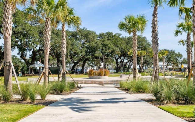 108 Fairbanks Oak Aly Unit 302, Daniel Island, SC 29492 - view of property's community
