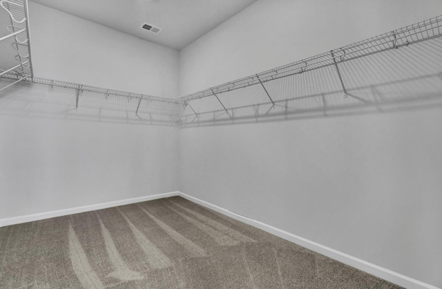 walk in closet featuring carpet flooring