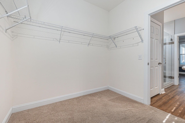 spacious closet with dark colored carpet