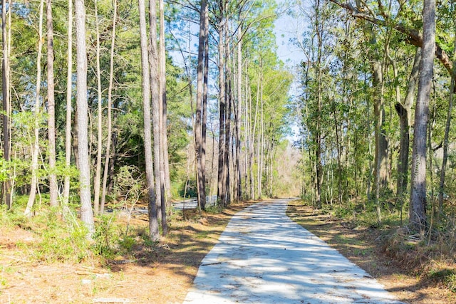 1519 John Fenwick Ln, Johns Island, SC 29455 - view of community featuring driveway and a wooded view