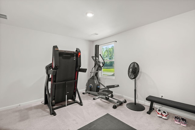 630 Jancus St, Charleston, SC 29414 - workout area with baseboards and carpet floors