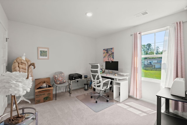 630 Jancus St, Charleston, SC 29414 - office area with carpet floors and baseboards